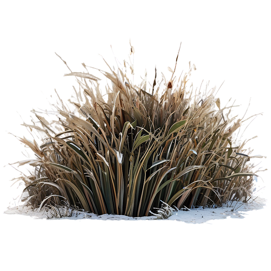 Winter Dead Grass Png 06282024 PNG Image