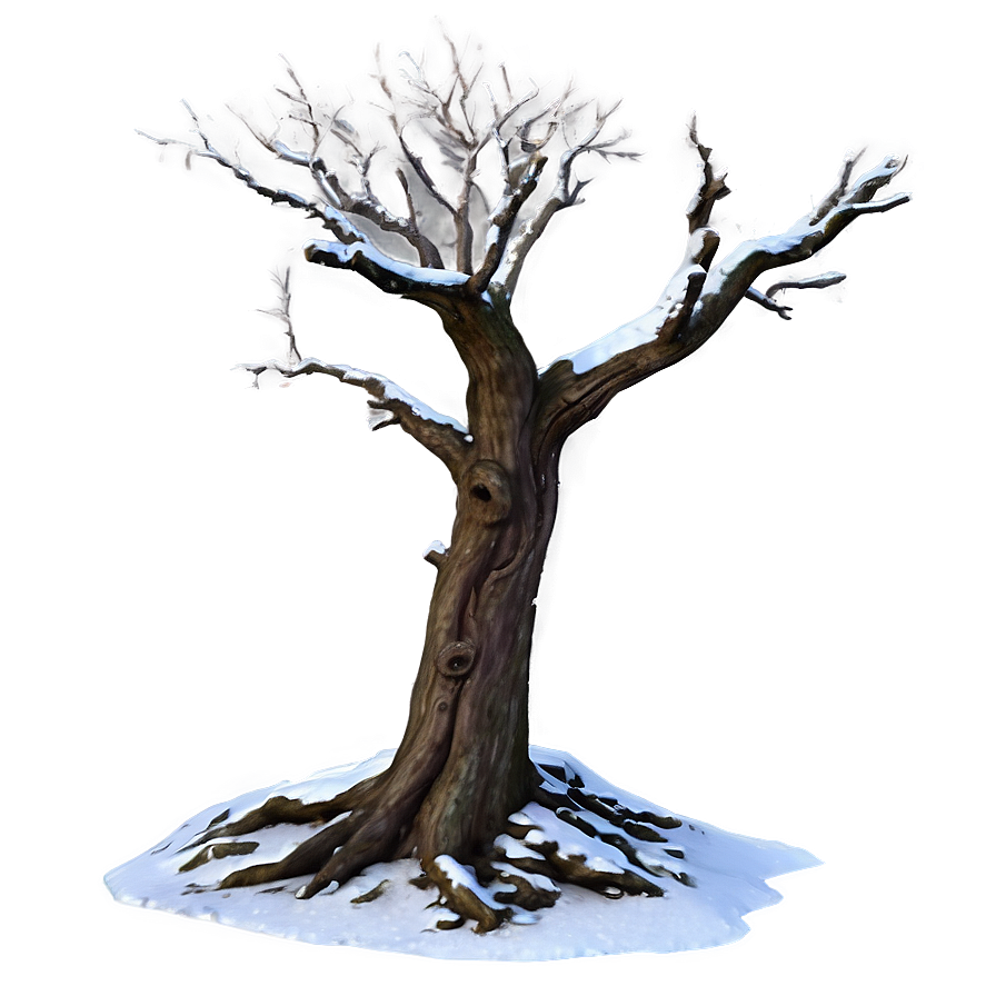 Winter Dead Tree Png 05252024 PNG Image