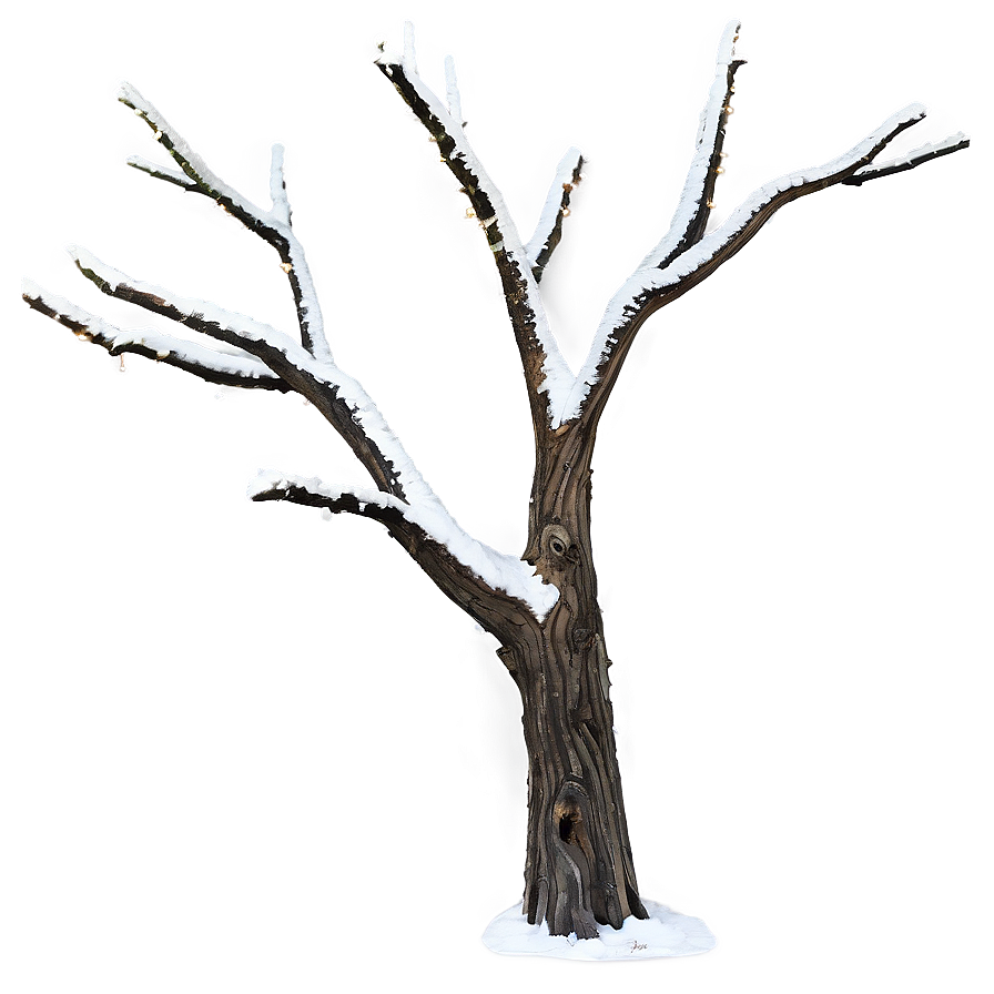 Winter Dead Tree Png 62 PNG Image