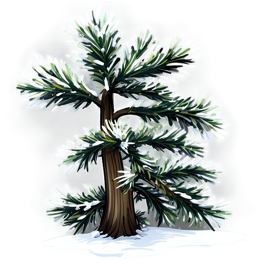 Winter Evergreen Tree Png Bor PNG Image