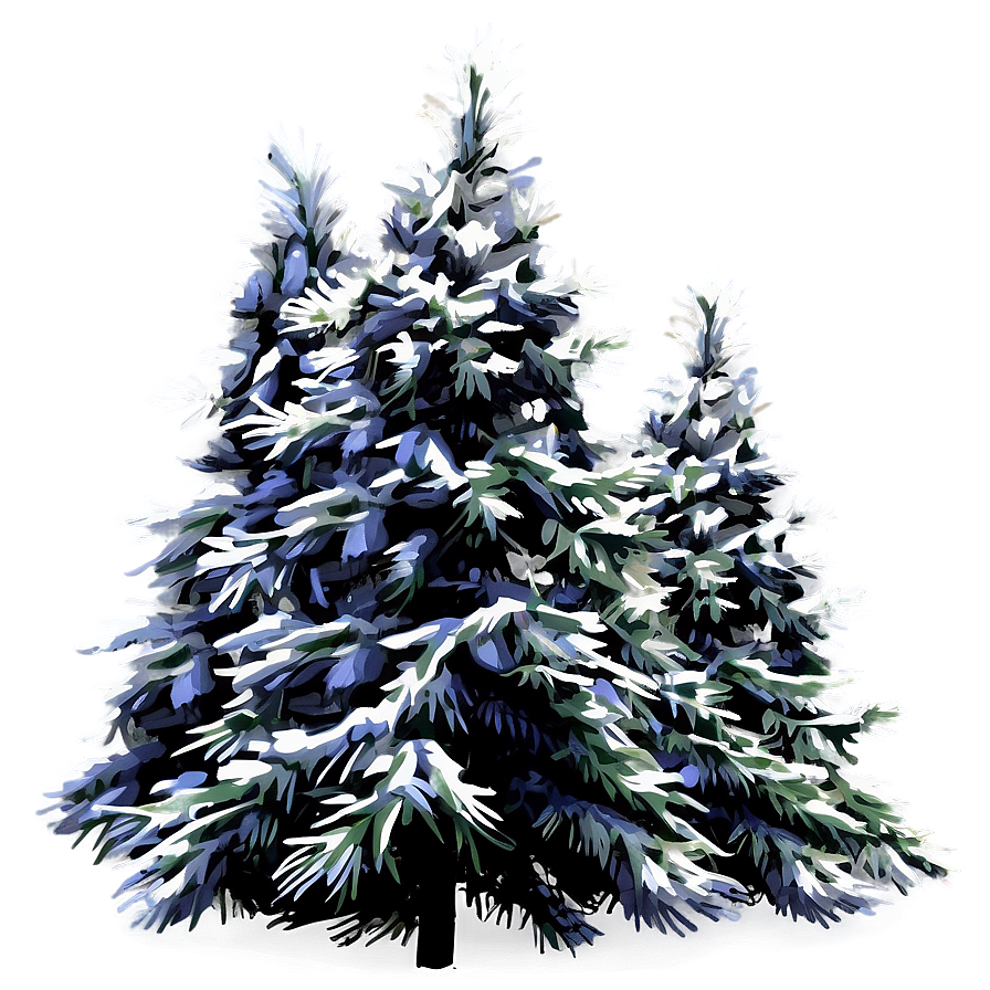 Winter Evergreen Tree Png Hou PNG Image