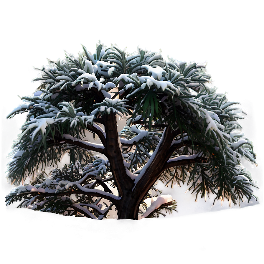 Winter Garden Care Png 72 PNG Image