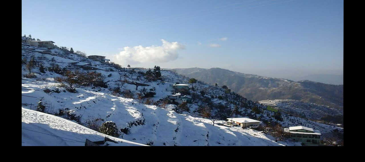 Winter_ Hillside_ Snow_ Covered_ Landscape.jpg PNG Image