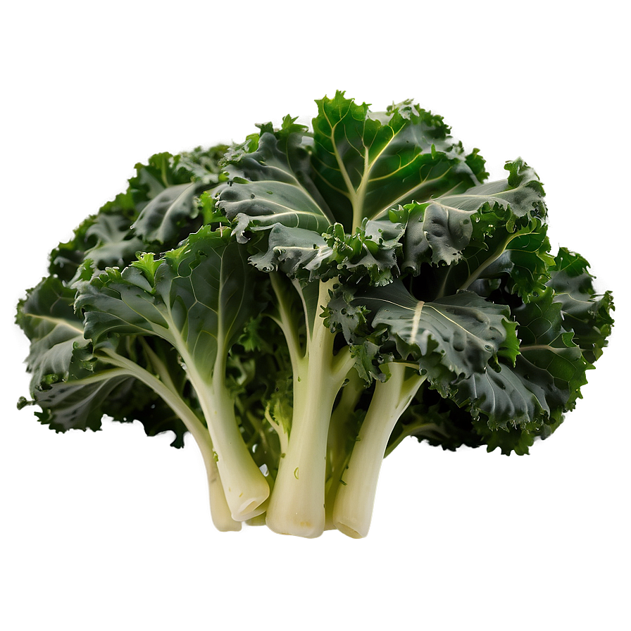 Winter Kale Png Ycr PNG Image