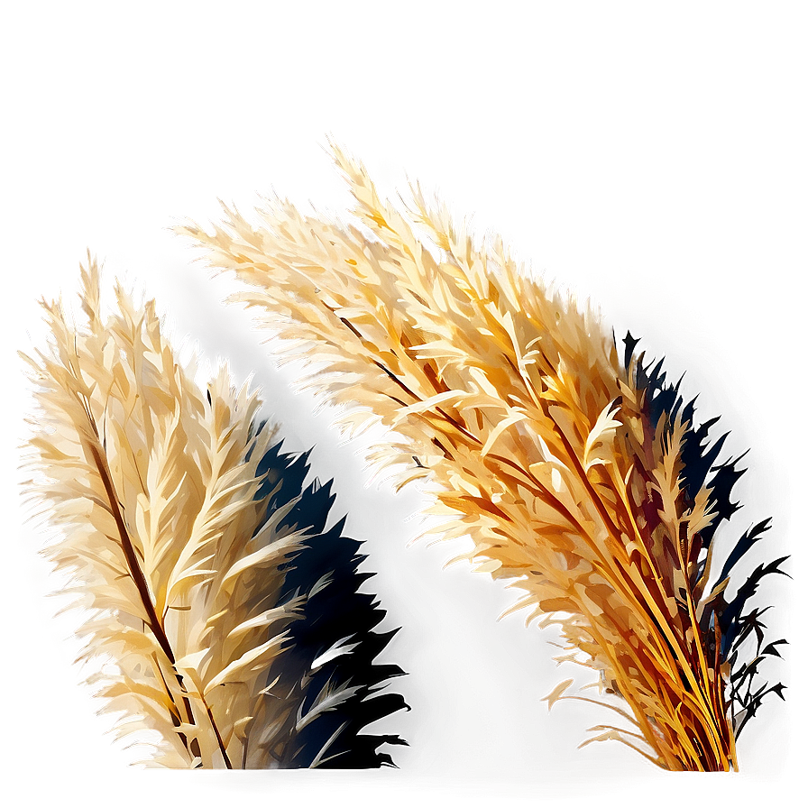 Winter Pampas Grass Png 06122024 PNG Image