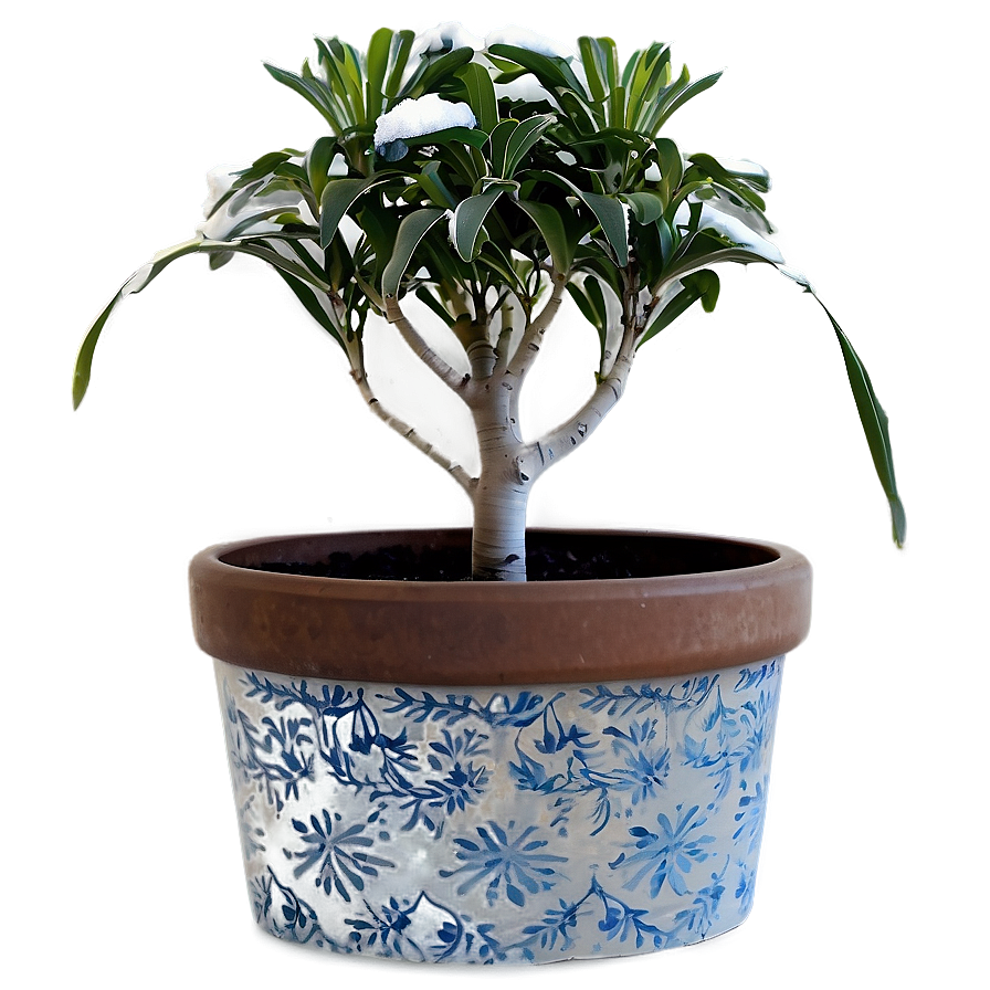 Winter Potted Plants Png Ruv PNG Image