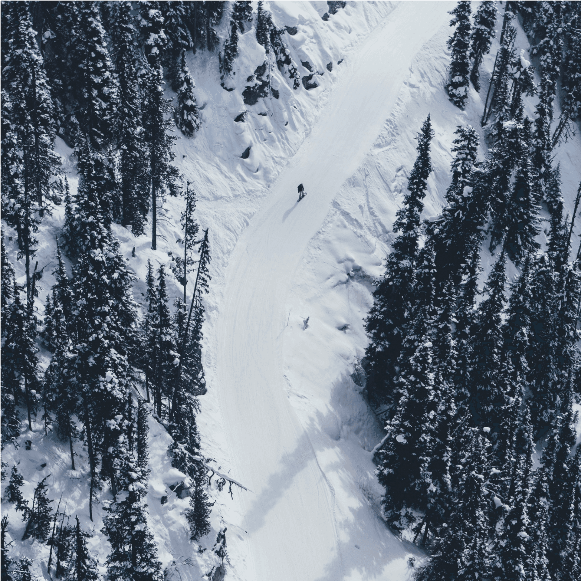 Winter_ Ski_ Trail_ Aerial_ View.jpg PNG Image