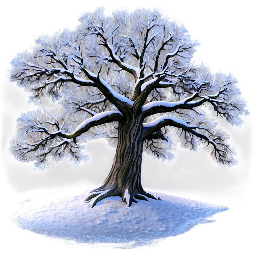 Winter Snowy Oak Tree Png 41 PNG Image