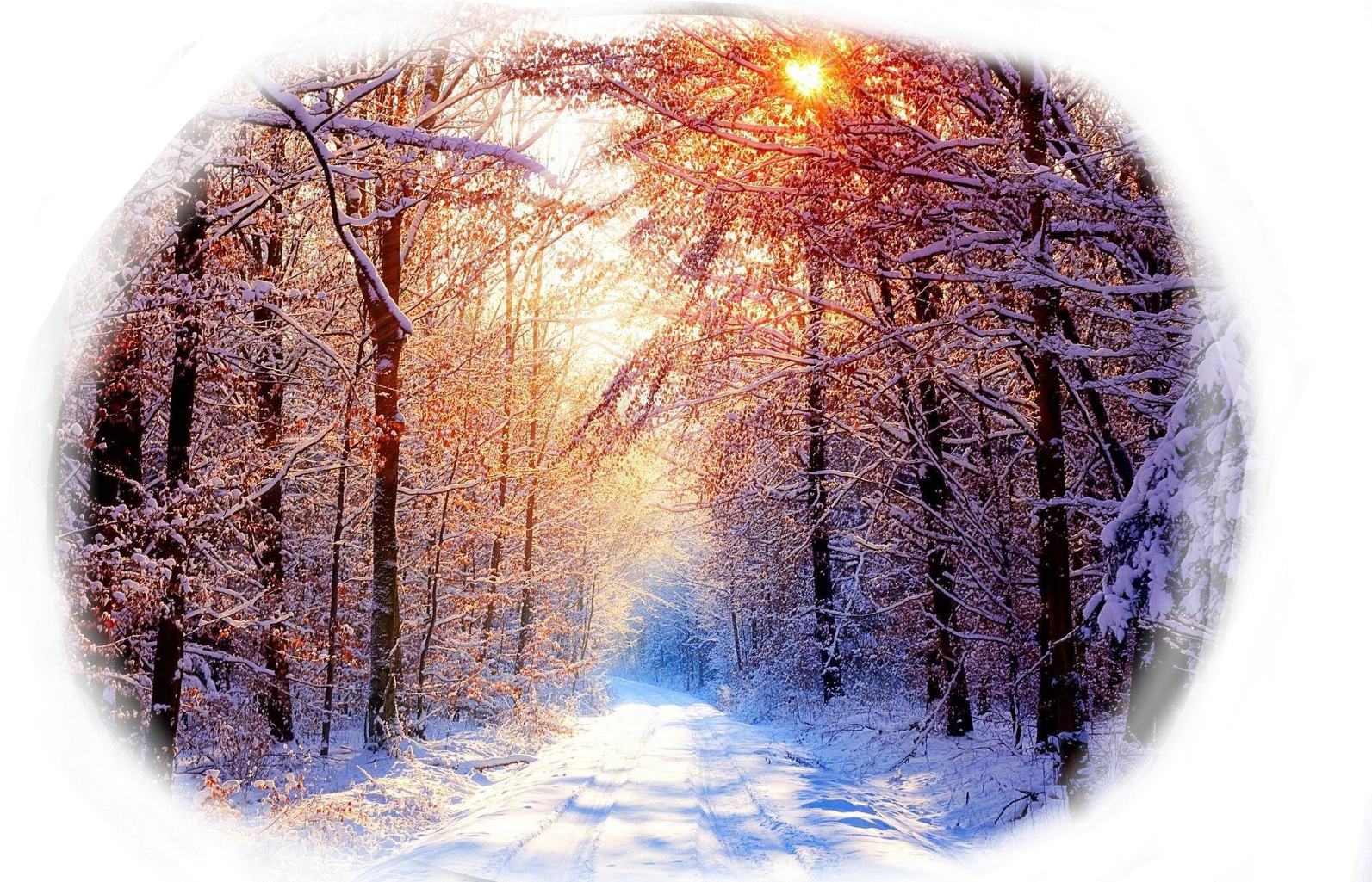 Winter Sunrise Forest Path.jpg PNG Image