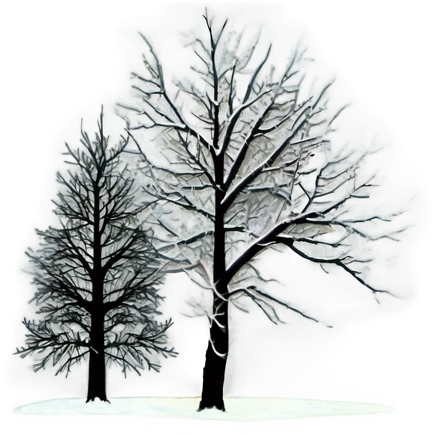 Winter Trees And Full Moon Png Eld57 PNG Image