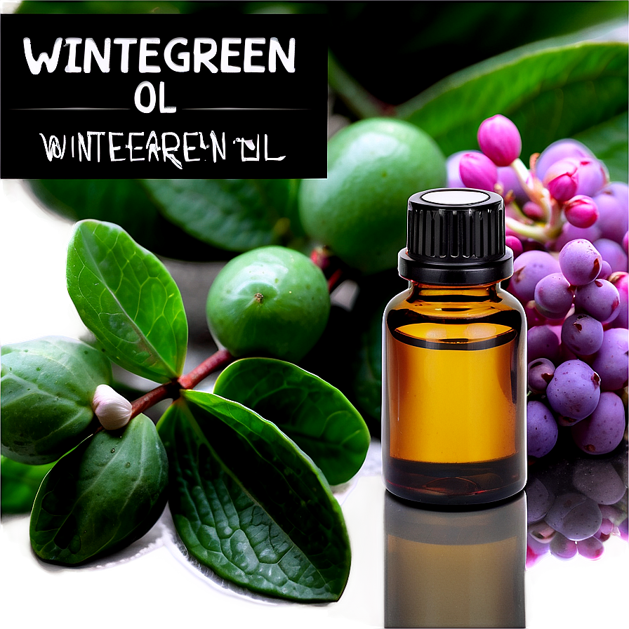 Wintergreen Essential Oil Png 6 PNG Image