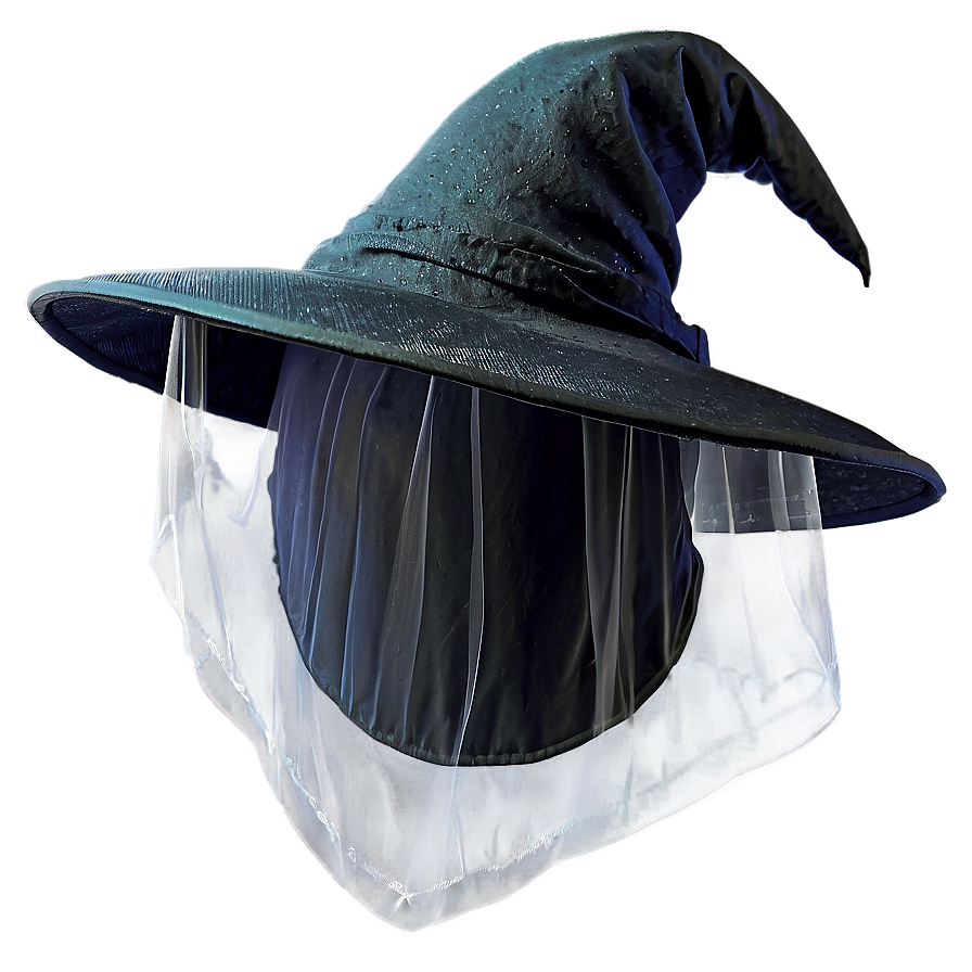 Witch Hat With Veil Png Pls50 PNG Image