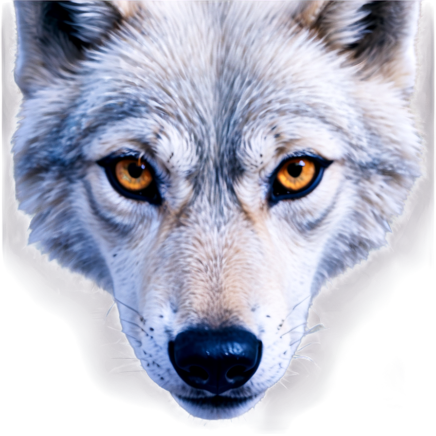 Wolf Eyes With Snowflakes Png 84 PNG Image