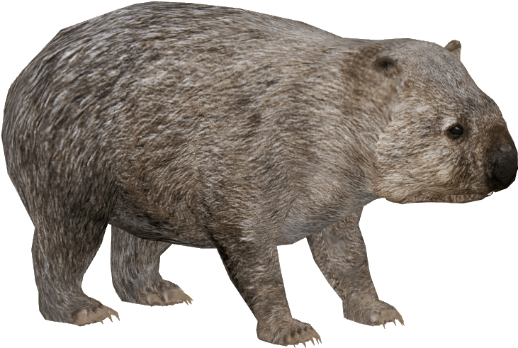 Wombatin Profile PNG Image