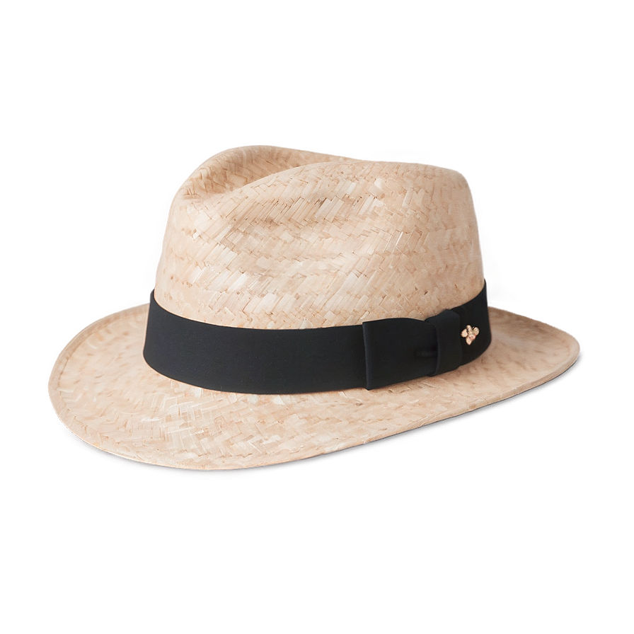 Women's Fedora Hat Png Vmj PNG Image