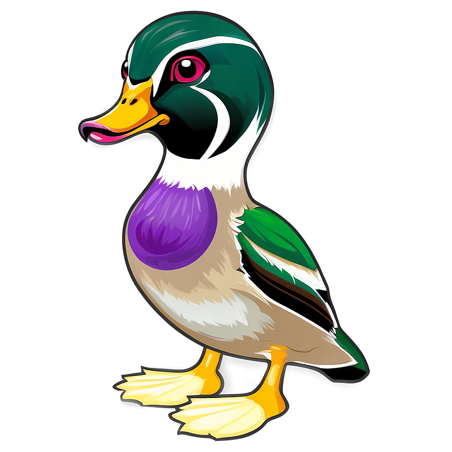 Wood Duck Png 05032024 PNG Image