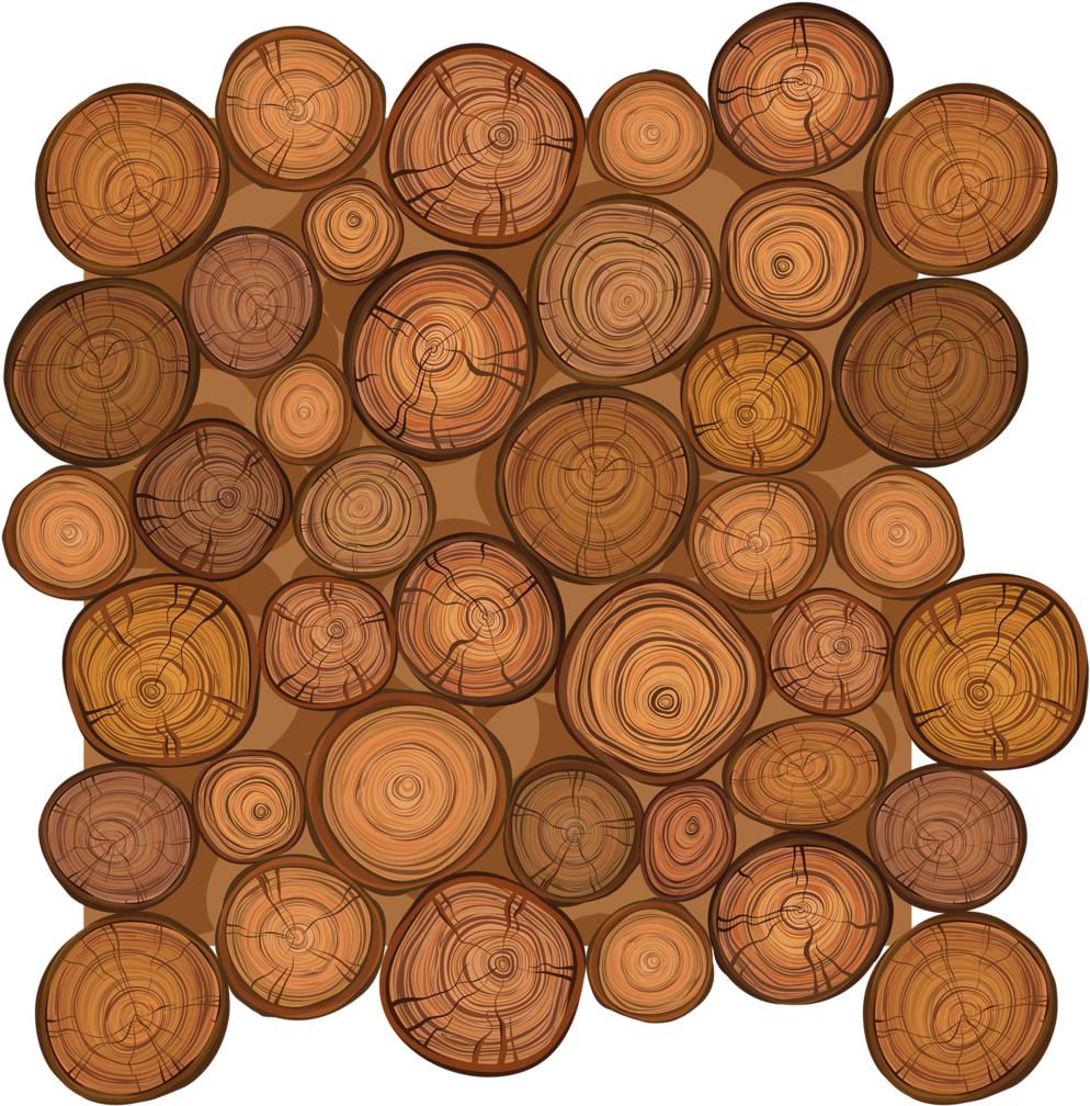 Wooden_ Log_ Cross_ Section_ Texture_ Pattern PNG Image