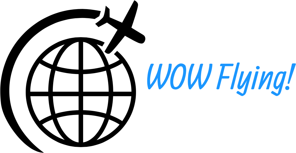 Wow Flying Logo PNG Image