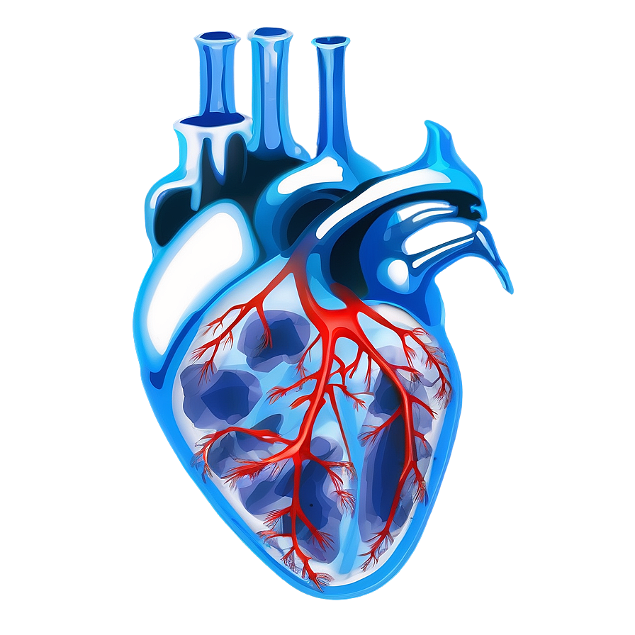 X Ray Heart Image Png 06252024 PNG Image