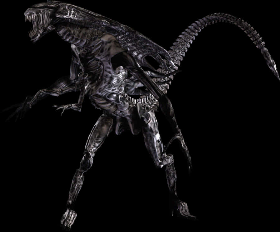 Xenomorph Alien Creature PNG Image