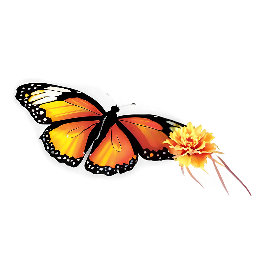 Yellow And Orange Butterfly Png Bwh63 PNG Image