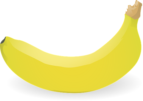 Yellow Banana Vector Illustration PNG Image