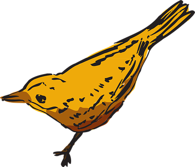 Yellow Bird Illustration PNG Image