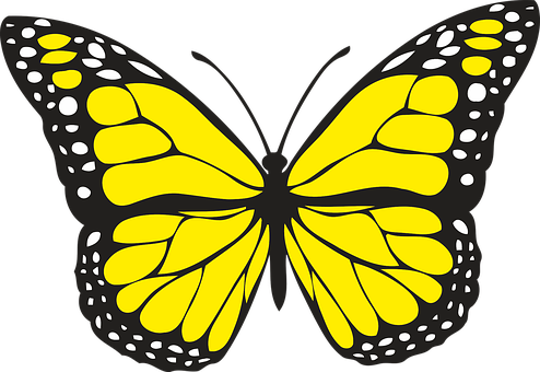 Yellow Black Butterfly Illustration PNG Image