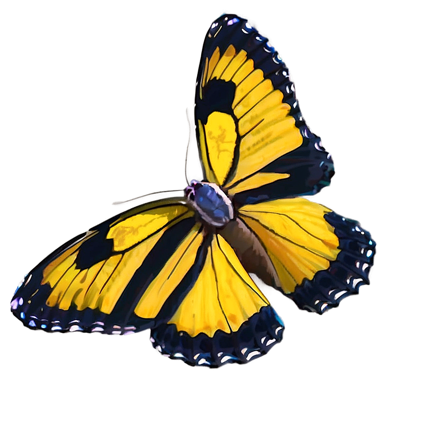 Yellow Butterfly In Nature Png Ecb24 PNG Image