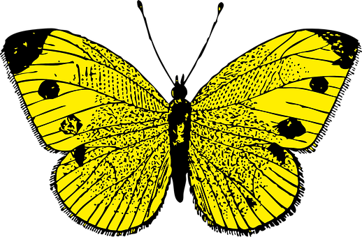 Yellow Butterfly Silhouette PNG Image