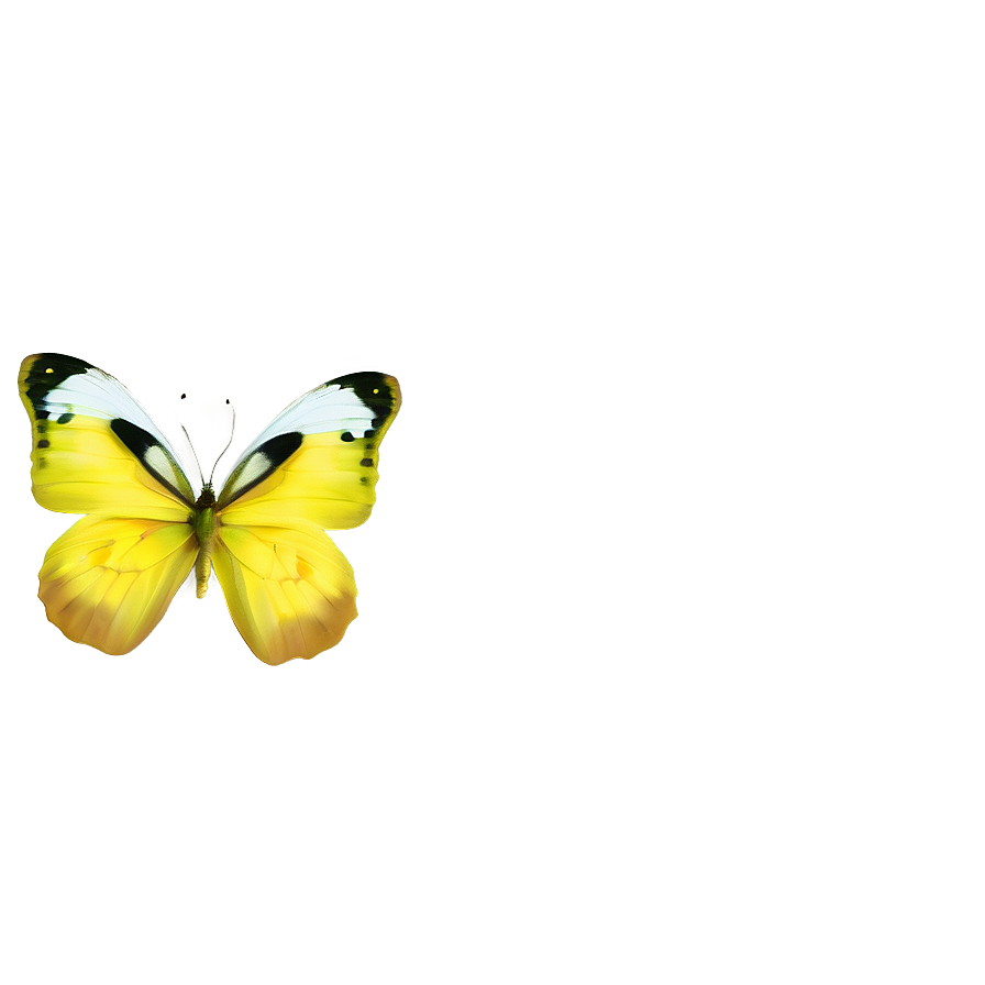 Yellow Butterfly Vector Png Ntk84 PNG Image