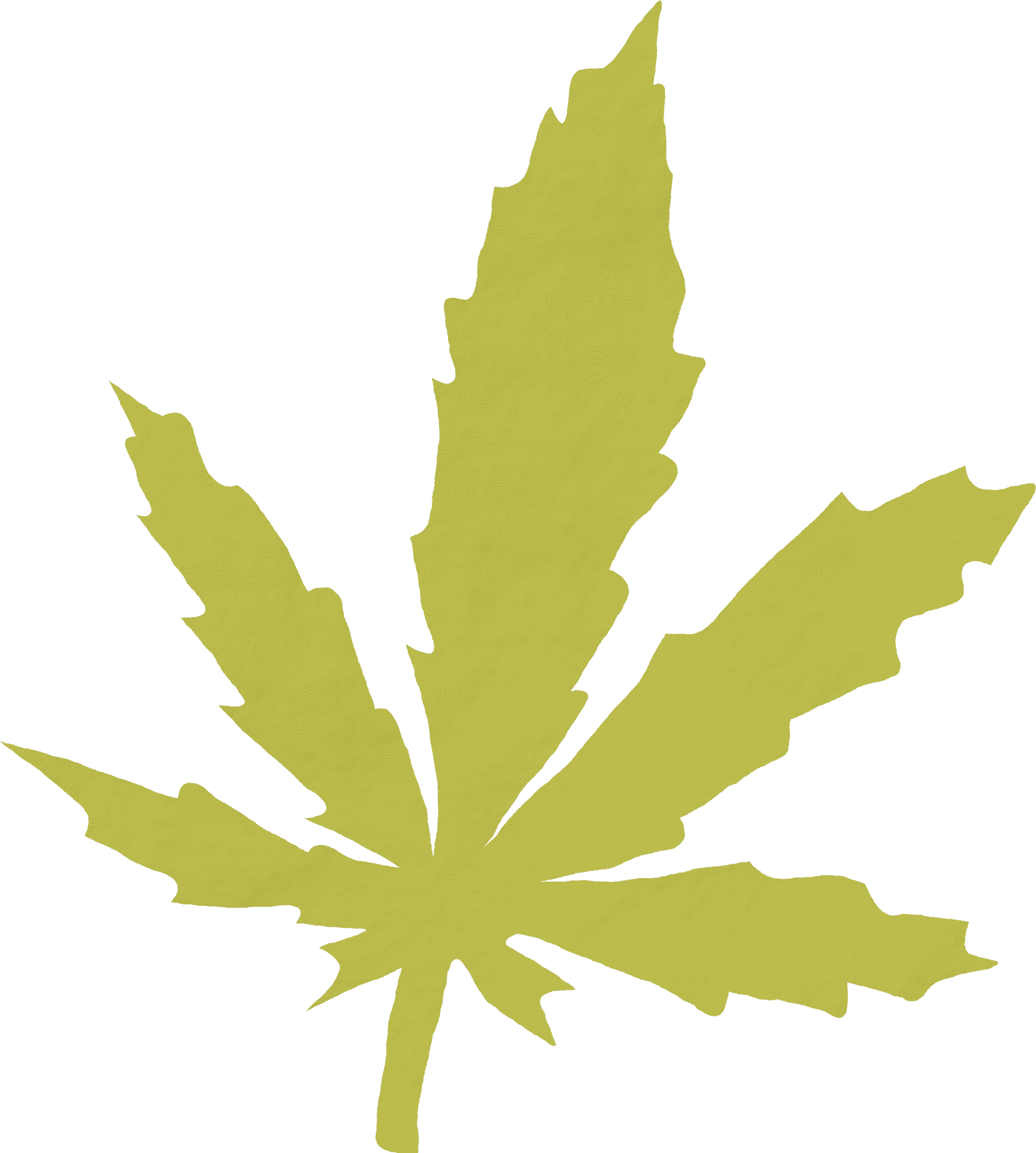 Yellow Cannabis Leaf Graphic PNG Image