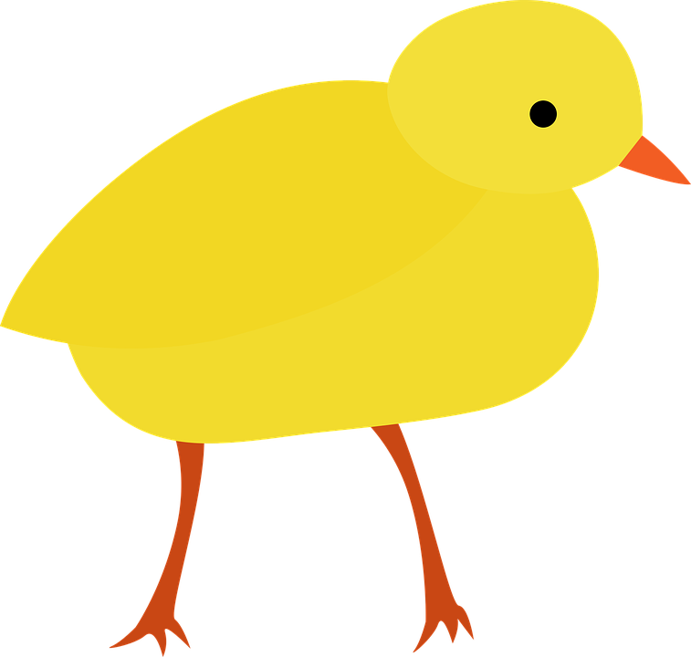 Yellow Cartoon Chick Illustration PNG Image