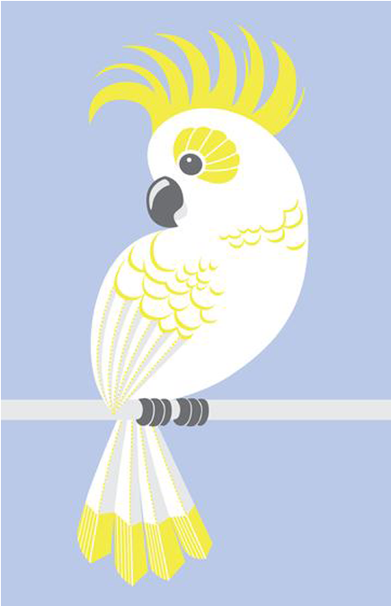 Yellow Crested Cockatoo Illustration PNG Image