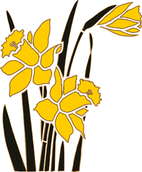 Yellow Daffodils Vector Art PNG Image