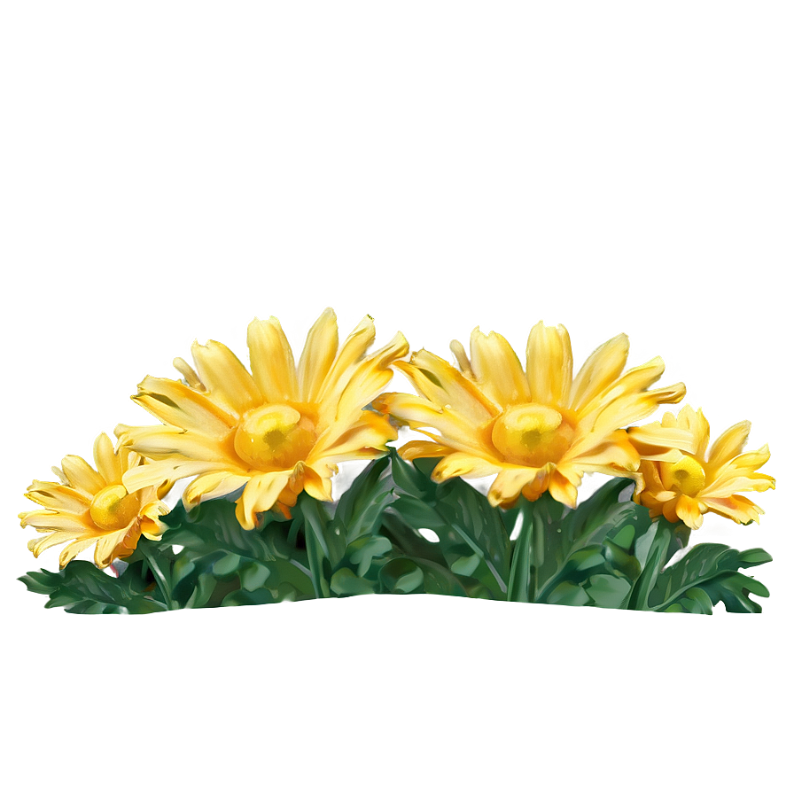 Yellow Daisy And Blue Sky Png Orv90 PNG Image