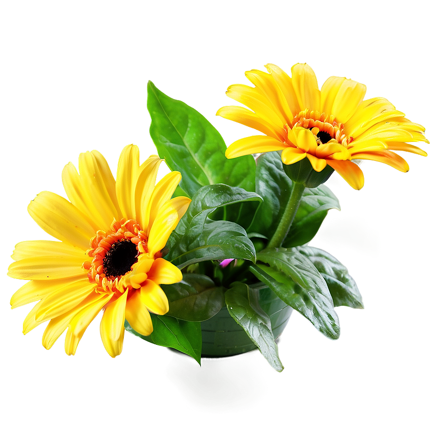 Yellow Daisy Floral Arrangement Png 06292024 PNG Image