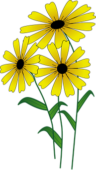 Yellow Daisy Illustration PNG Image