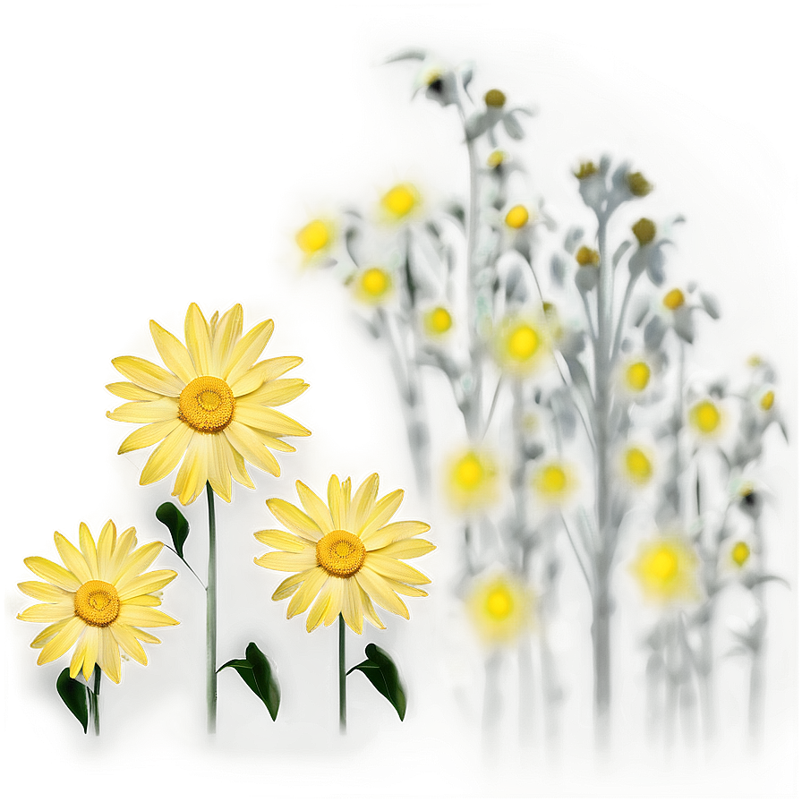 Yellow Daisy Silhouette Png Eja92 PNG Image