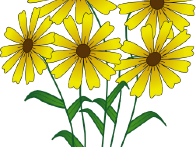 Yellow Daisy Vector Illustration PNG Image