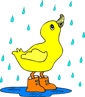 Yellow Duck Rainy Day PNG Image