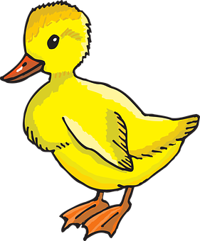 Yellow Duckling Cartoon Illustration PNG Image