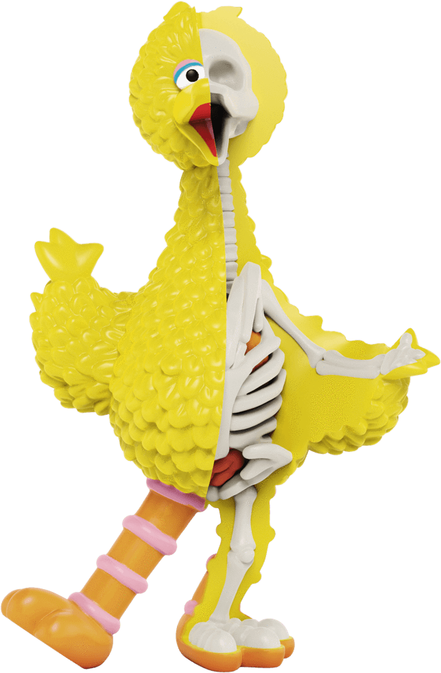 Yellow Feathered Character Anatomy Revealed PNG Image