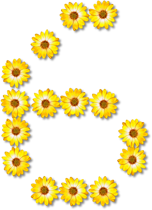 Yellow Flower Letter B Design PNG Image