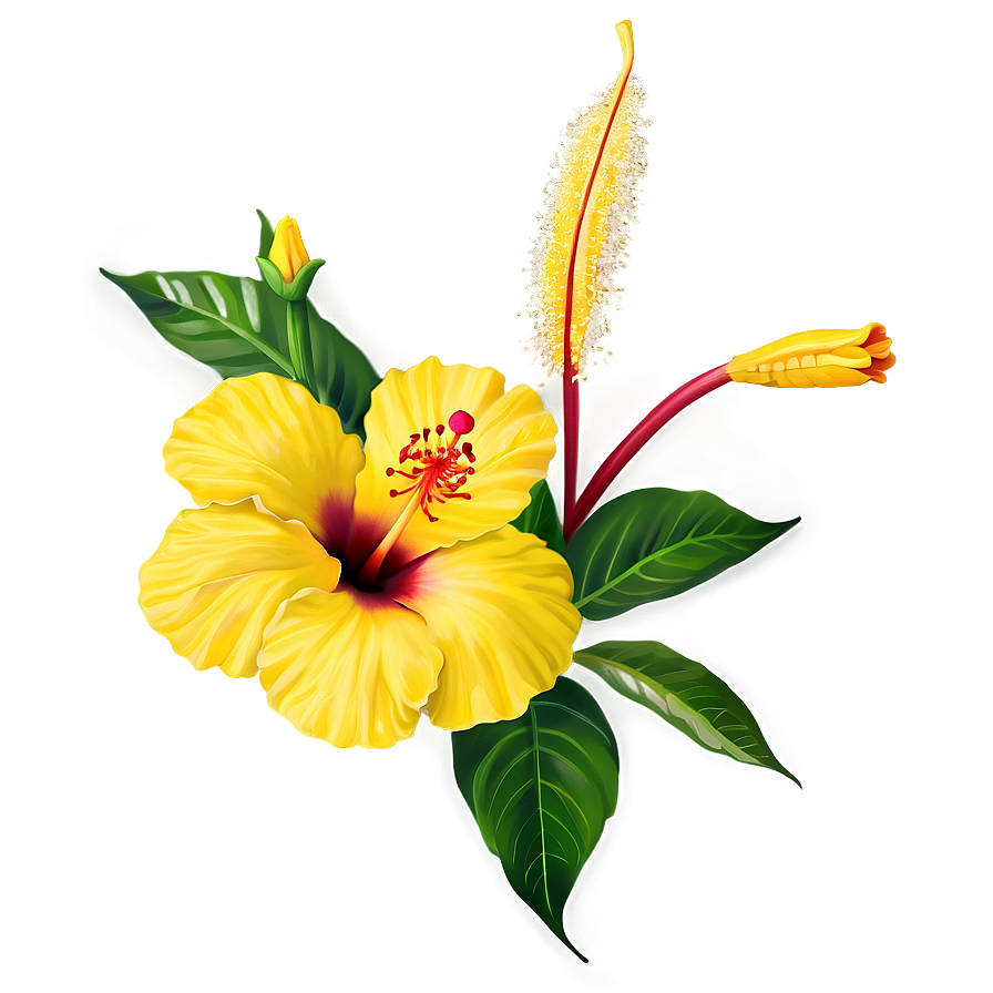 Yellow Hibiscus Png Kpm20 PNG Image