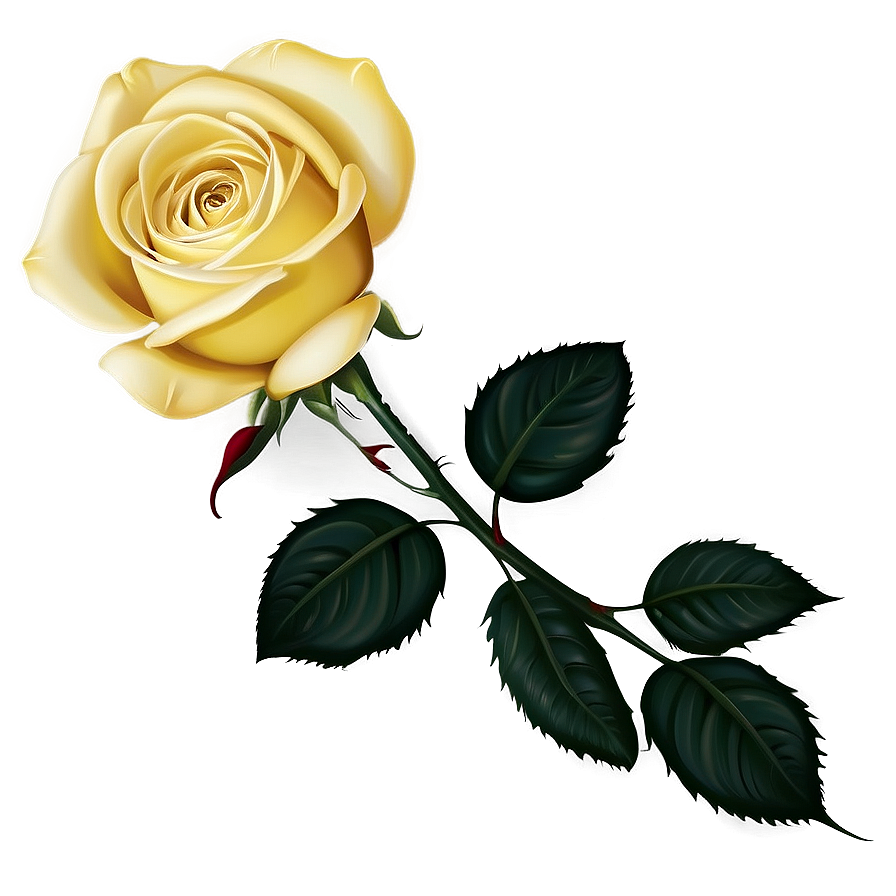 Yellow Rose Background Png Amr PNG Image