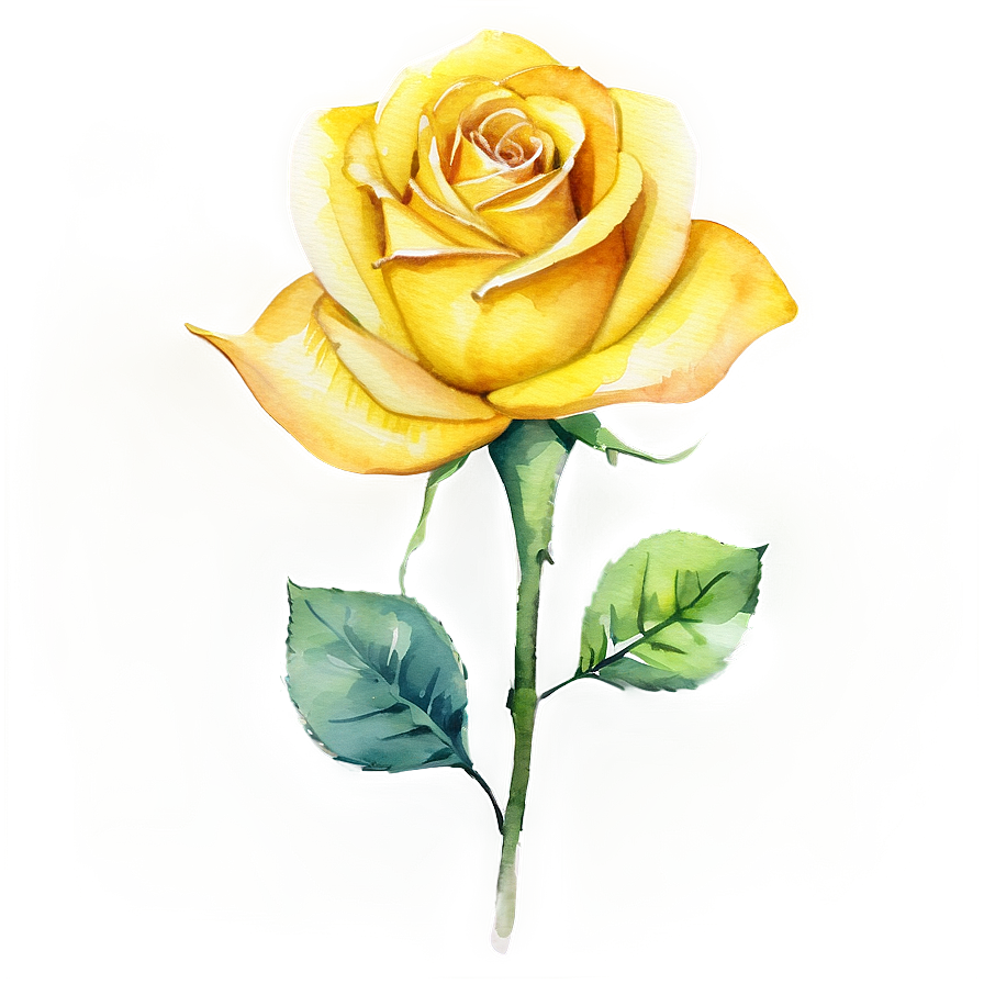 Yellow Rose Watercolor Png 06252024 PNG Image