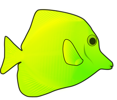 Yellow Tang Fish Illustration PNG Image