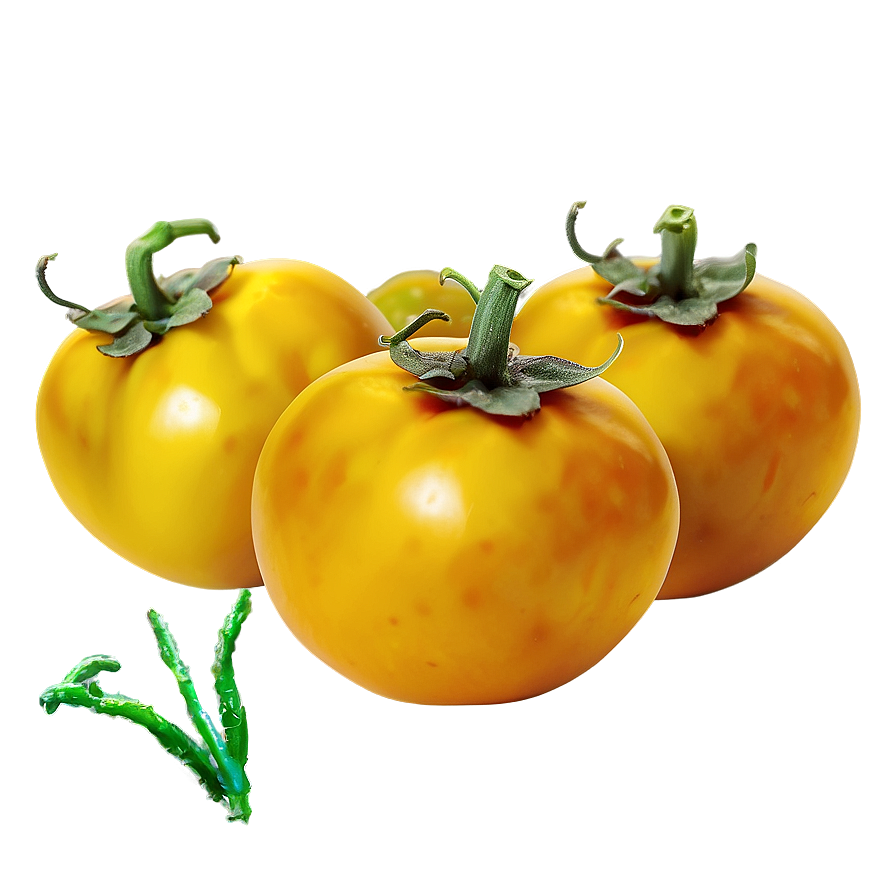 Yellow Tomato Png 06212024 PNG Image