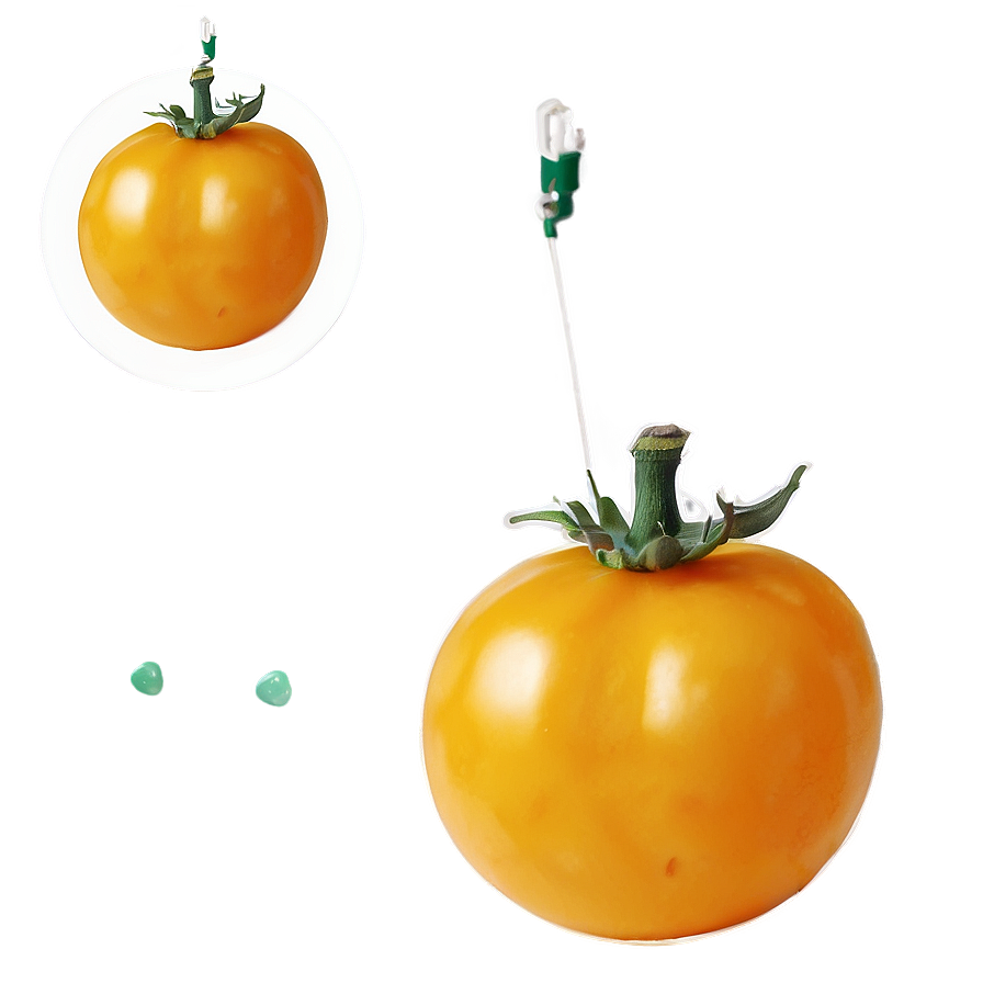 Yellow Tomato Png 98 PNG Image